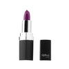 High Quality 12 Different Colors Sexy Lipstick Waterproof